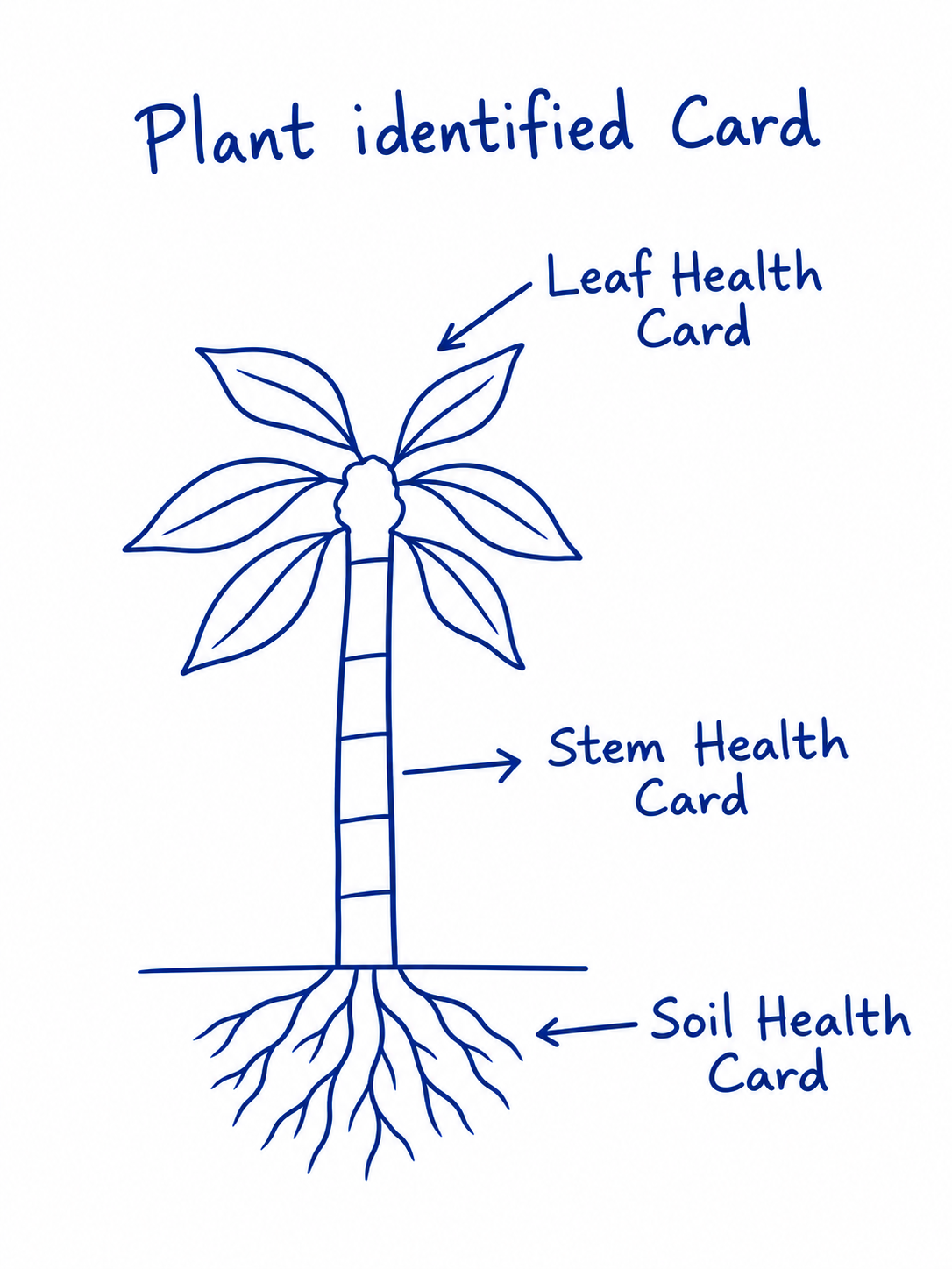 Plant identified Card diagram: Leaf Health Card, Stem Health Card, and Soil Health Card labelled on a plant